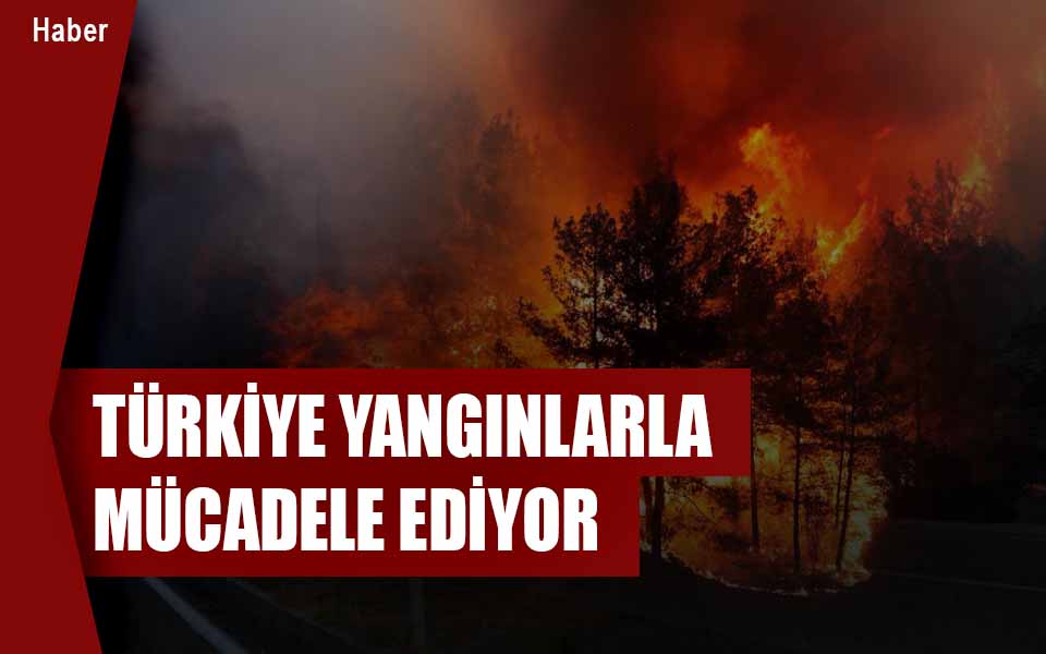 89359Türkiye Yangınlarla Mücadele Ediyor düşük kalie.jpg